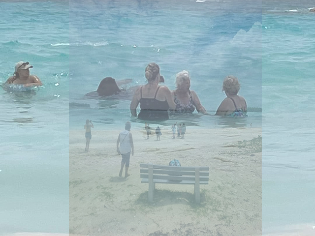 Photo of tour group of people swimming at Horseshoe Bay beach