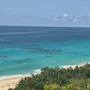 Photo of Warwick Long Bay beach