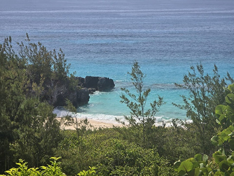 Photo of the beach